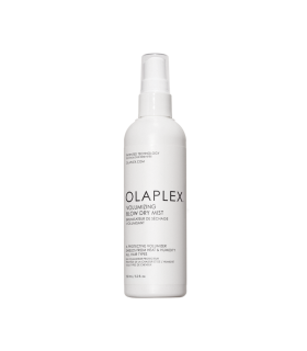 Volumizing Blow Dry Mist